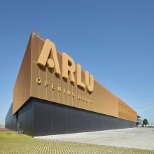 Arlu