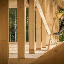 studie houtbouw Impact Institute