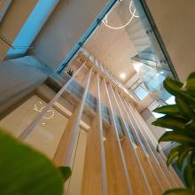 Circulair CLT The Urban Woods